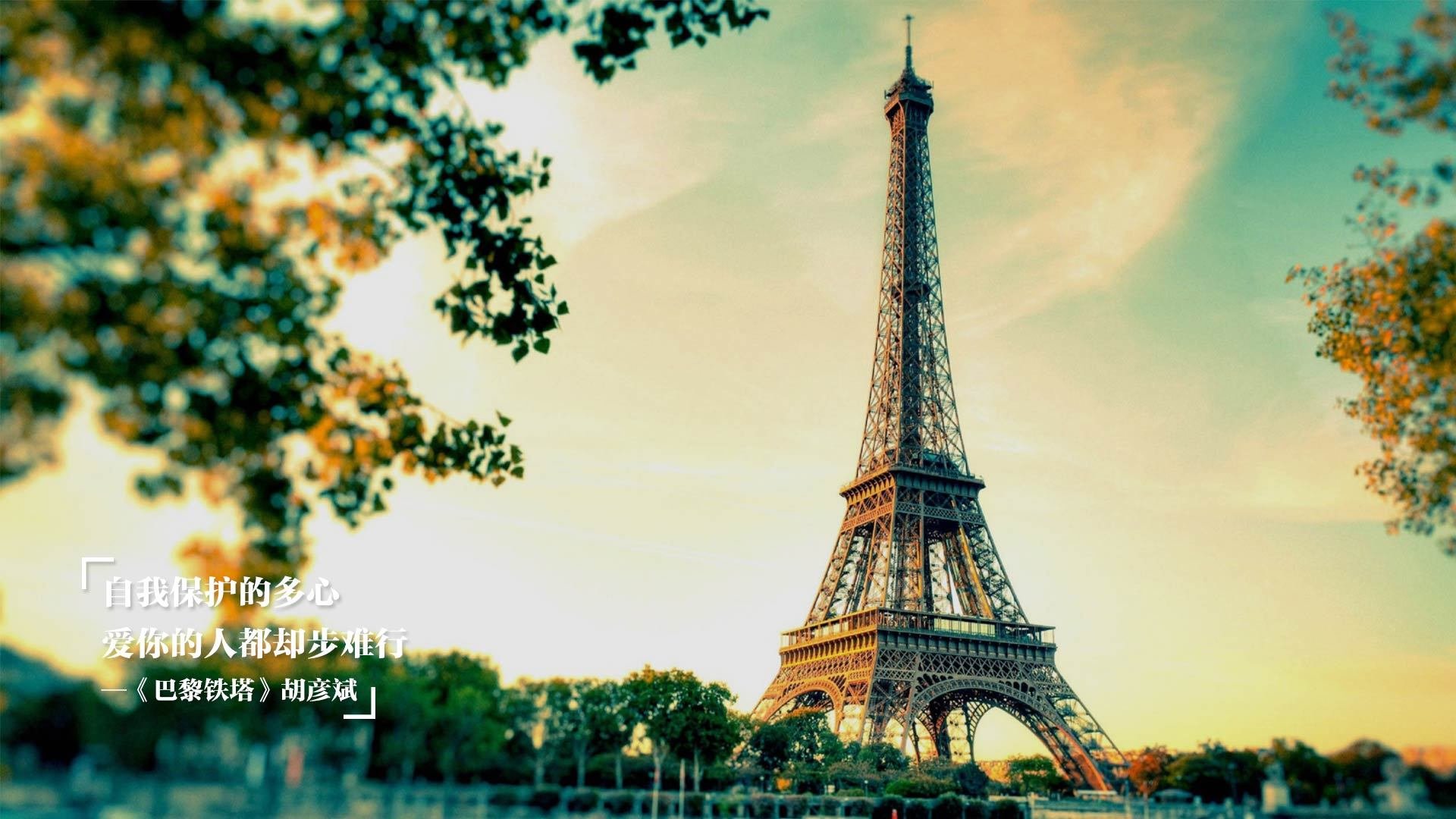 世界杯期间新媒体的传播效果,新媒体体育赛事传播案例