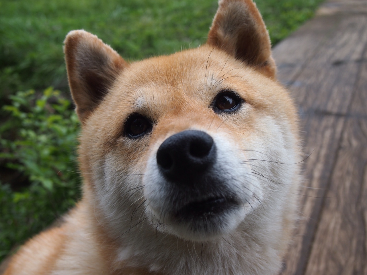 校园篮球推动性别平衡女生参与率持续走高,校园篮球女神